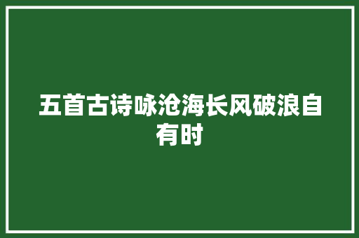 五首古诗咏沧海长风破浪自有时