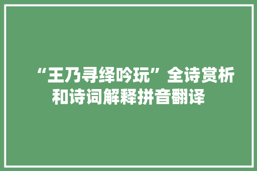 “王乃寻绎吟玩”全诗赏析和诗词解释拼音翻译