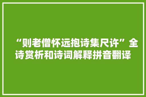 “则老僧怀远抱诗集尺许”全诗赏析和诗词解释拼音翻译