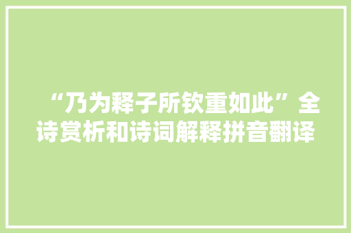 “乃为释子所钦重如此”全诗赏析和诗词解释拼音翻译