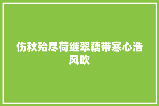 伤秋殆尽荷继翠藕带寒心浩风吹