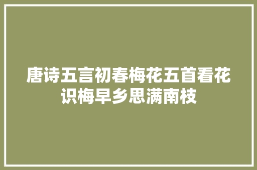 唐诗五言初春梅花五首看花识梅早乡思满南枝