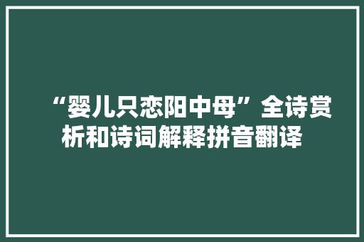 “婴儿只恋阳中母”全诗赏析和诗词解释拼音翻译