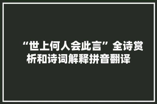 “世上何人会此言”全诗赏析和诗词解释拼音翻译