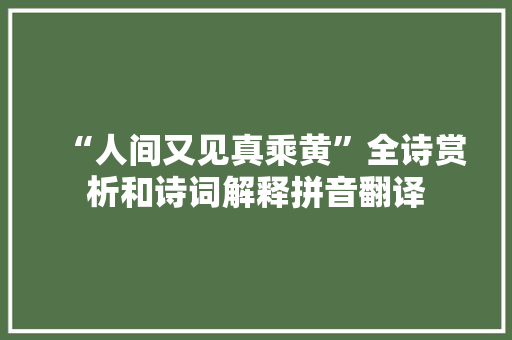 “人间又见真乘黄”全诗赏析和诗词解释拼音翻译