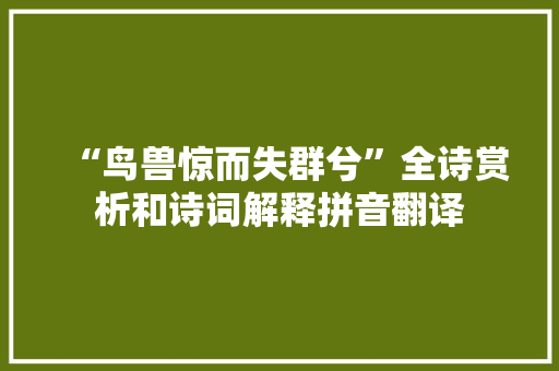 “鸟兽惊而失群兮”全诗赏析和诗词解释拼音翻译