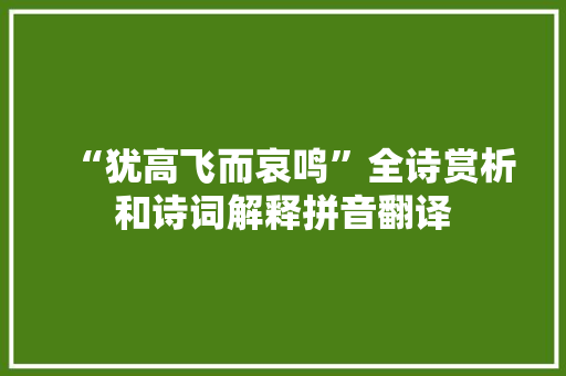 “犹高飞而哀鸣”全诗赏析和诗词解释拼音翻译