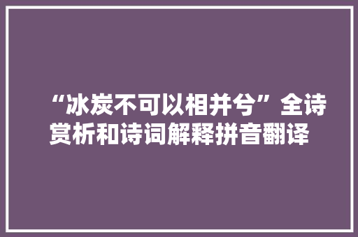 “冰炭不可以相并兮”全诗赏析和诗词解释拼音翻译