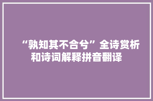 “孰知其不合兮”全诗赏析和诗词解释拼音翻译
