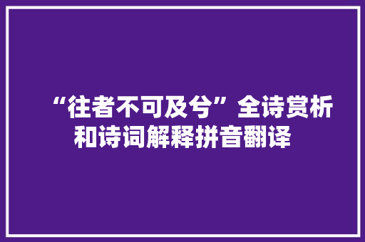 “往者不可及兮”全诗赏析和诗词解释拼音翻译
