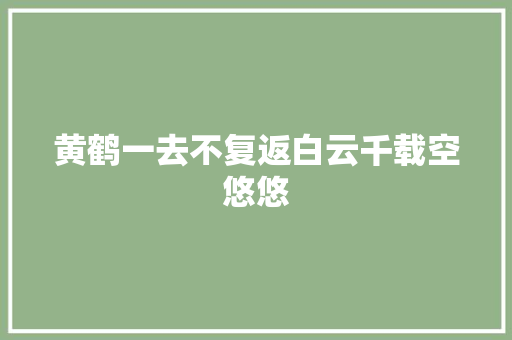 黄鹤一去不复返白云千载空悠悠