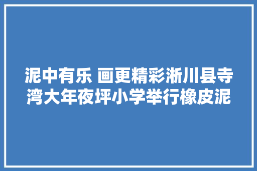 泥中有乐 画更精彩淅川县寺湾大年夜坪小学举行橡皮泥粘贴画活动