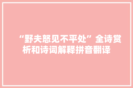 “野夫怒见不平处”全诗赏析和诗词解释拼音翻译