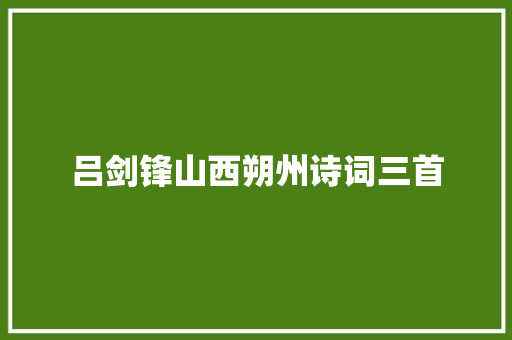 吕剑锋山西朔州诗词三首