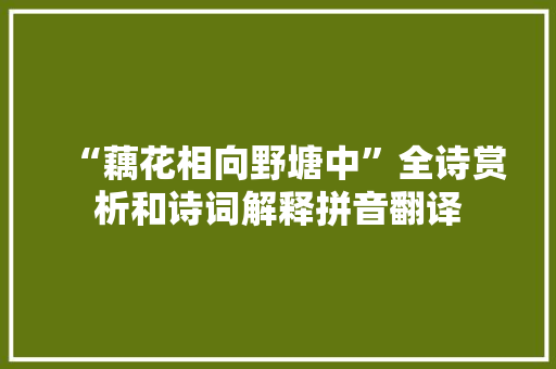 “藕花相向野塘中”全诗赏析和诗词解释拼音翻译