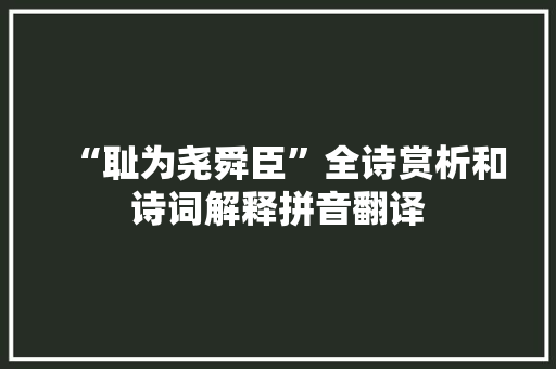 “耻为尧舜臣”全诗赏析和诗词解释拼音翻译