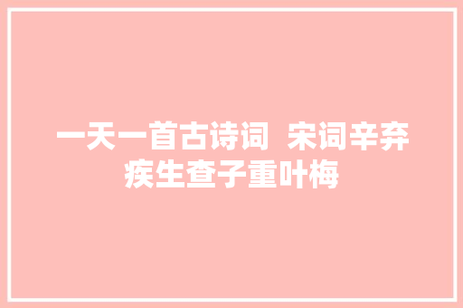 一天一首古诗词  宋词辛弃疾生查子重叶梅