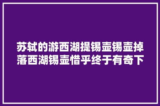 苏轼的游西湖提锡壶锡壶掉落西湖锡壶惜乎终于有奇下联