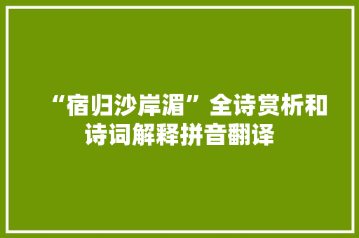 “宿归沙岸湄”全诗赏析和诗词解释拼音翻译