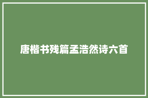 唐楷书残篇孟浩然诗六首