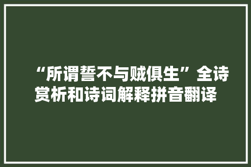 “所谓誓不与贼俱生”全诗赏析和诗词解释拼音翻译