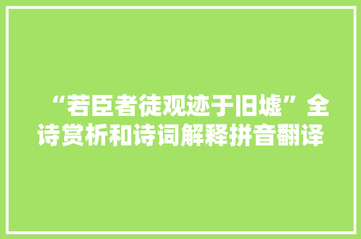 “若臣者徒观迹于旧墟”全诗赏析和诗词解释拼音翻译