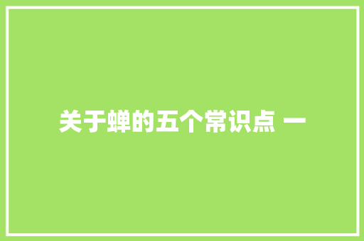 关于蝉的五个常识点 一