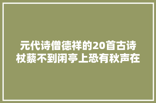 元代诗僧德祥的20首古诗杖藜不到闲亭上恐有秋声在树头