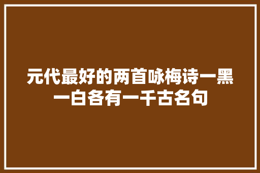 元代最好的两首咏梅诗一黑一白各有一千古名句