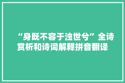 “身既不容于浊世兮”全诗赏析和诗词解释拼音翻译