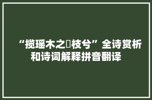 “揽瑶木之橝枝兮”全诗赏析和诗词解释拼音翻译