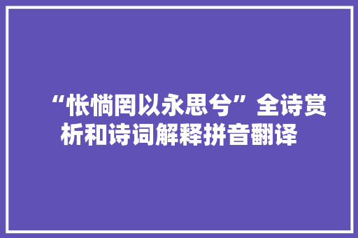 “怅惝罔以永思兮”全诗赏析和诗词解释拼音翻译