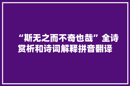 “斯无之而不奇也哉”全诗赏析和诗词解释拼音翻译