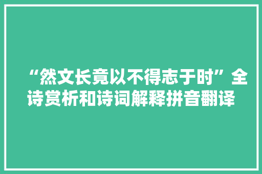 “然文长竟以不得志于时”全诗赏析和诗词解释拼音翻译