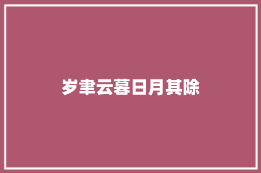 岁聿云暮日月其除