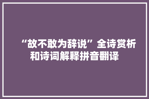 “故不敢为辞说”全诗赏析和诗词解释拼音翻译