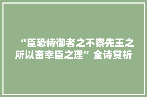 “臣恐侍御者之不察先王之所以畜幸臣之理”全诗赏析和诗词解释拼音翻译