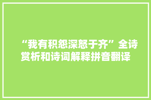 “我有积怨深怒于齐”全诗赏析和诗词解释拼音翻译