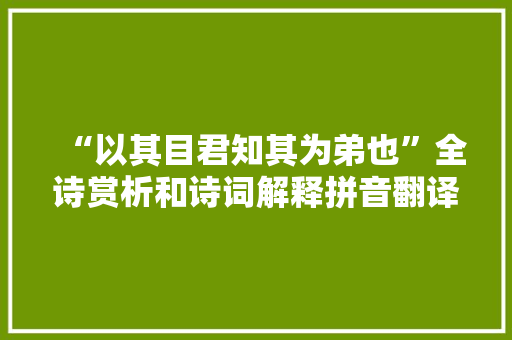 “以其目君知其为弟也”全诗赏析和诗词解释拼音翻译