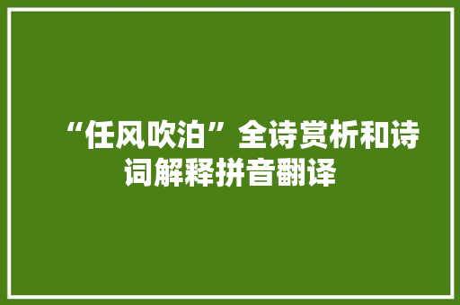 “任风吹泊”全诗赏析和诗词解释拼音翻译