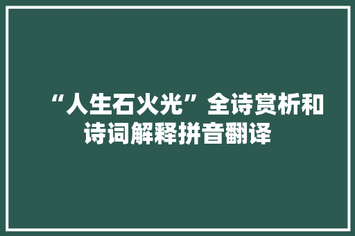 “人生石火光”全诗赏析和诗词解释拼音翻译