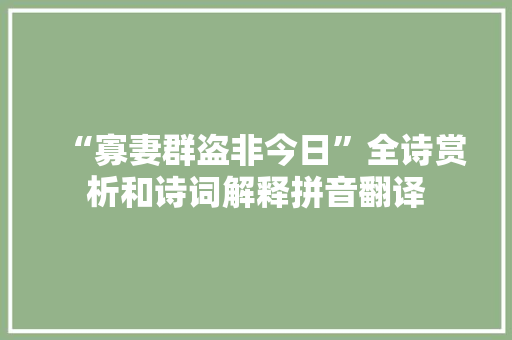 “寡妻群盗非今日”全诗赏析和诗词解释拼音翻译