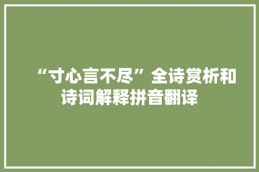 “寸心言不尽”全诗赏析和诗词解释拼音翻译