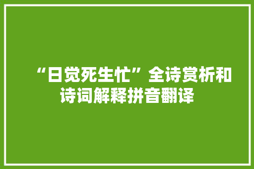 “日觉死生忙”全诗赏析和诗词解释拼音翻译