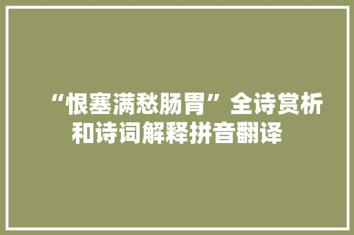 “恨塞满愁肠胃”全诗赏析和诗词解释拼音翻译