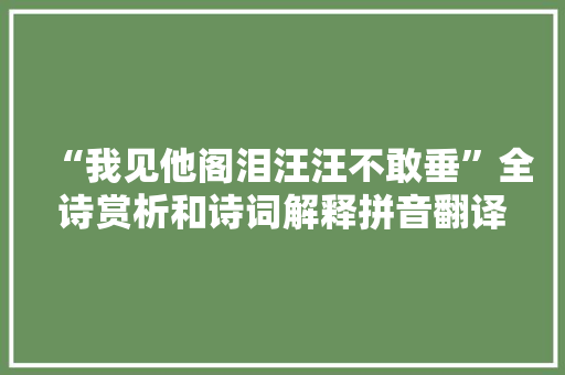 “我见他阁泪汪汪不敢垂”全诗赏析和诗词解释拼音翻译