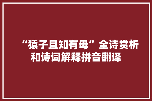 “猿子且知有母”全诗赏析和诗词解释拼音翻译