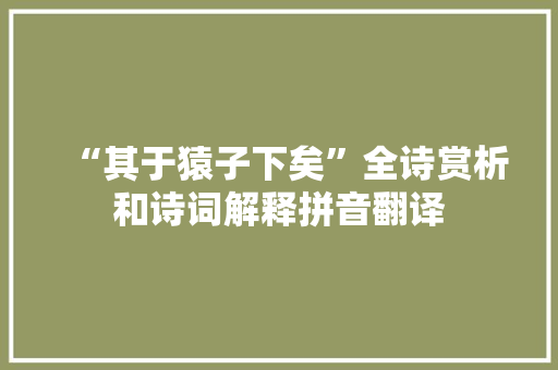 “其于猿子下矣”全诗赏析和诗词解释拼音翻译