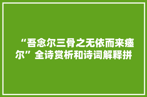 “吾念尔三骨之无依而来瘗尔”全诗赏析和诗词解释拼音翻译