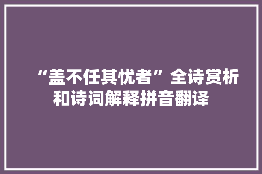 “盖不任其忧者”全诗赏析和诗词解释拼音翻译